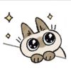 楚君