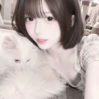 QQ头像