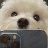 用户头像图片