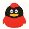 QQ300000000头像