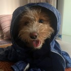 QQ头像