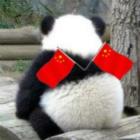 QQ头像