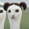上海网友23102