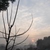重庆网友73290