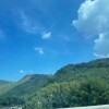 浙江网友88163