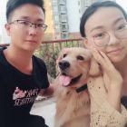 QQ头像