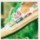 青海网友51271