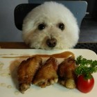QQ头像