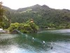 水@水$