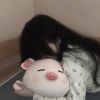 宁夏网友52291