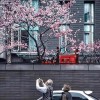 陕西网友40963