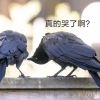 zhusheng的头像-无忧免费游戏网
