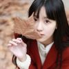北京网友95865