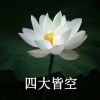 评论头像