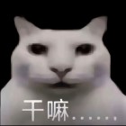 QQ头像