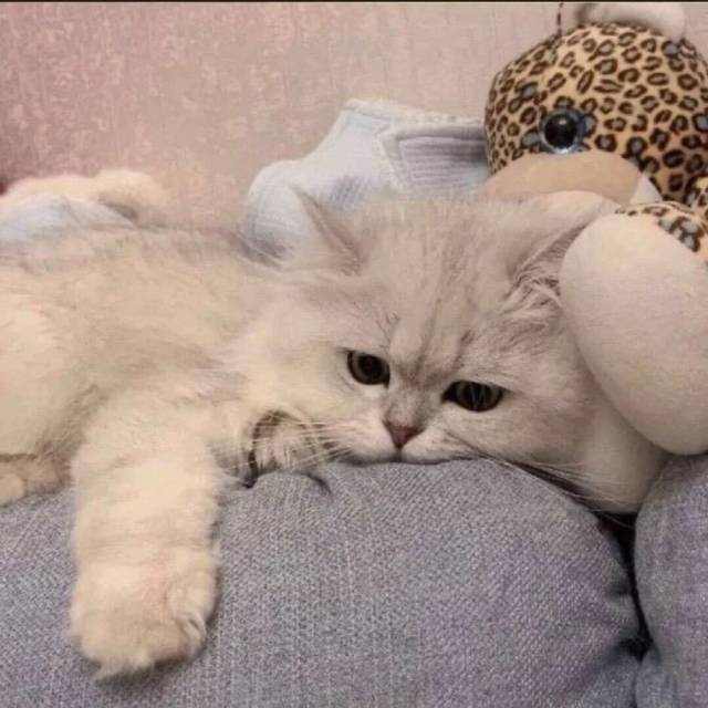，，，