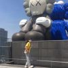 澳门网友51144