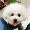 jeff_kang911的头像-无忧免费游戏网