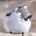 QQ头像