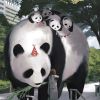 评论头像