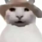 QQ头像