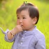 西藏网友77276