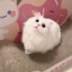 QQ头像