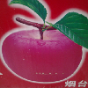 湖北网友49665