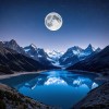 用户头像图片