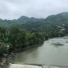 天津网友52542