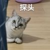 宁夏网友45837