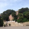 河南网友99846
