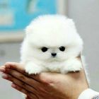 QQ头像