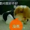 澳门网友65593