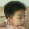 山西网友56503
