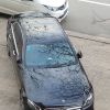 台湾网友38320