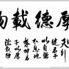 好宝z民