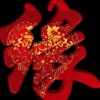 甘肃网友89630