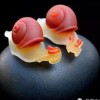 青海网友37155