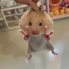 张