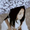 贵州网友19955