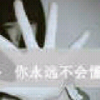 吉林网友50029
