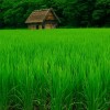 风富山包