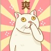 评论头像