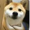 菜须坤