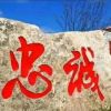 山东网友29553