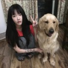 QQ头像