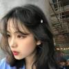 云南网友17567