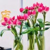 甘肃网友69418