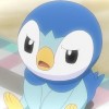 内蒙古网友10030